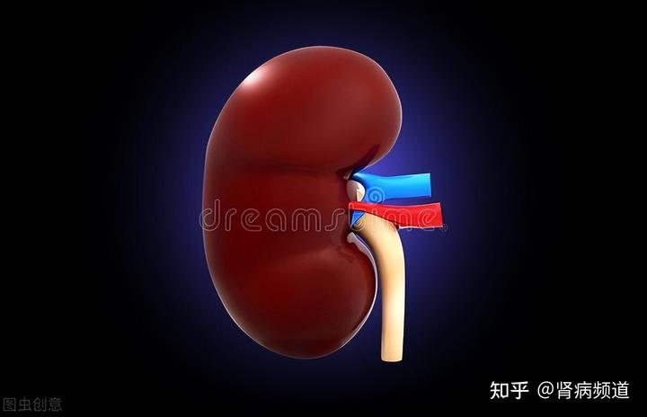 肌酐偏高补硒有用吗