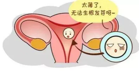 维生素e和硒补什么