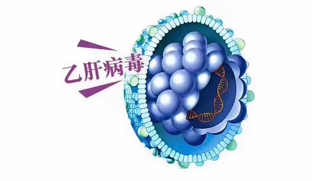 抗乙肝病毒补硒治愈