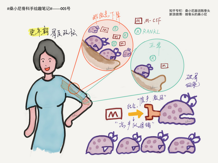 吃啥补钙效果最好