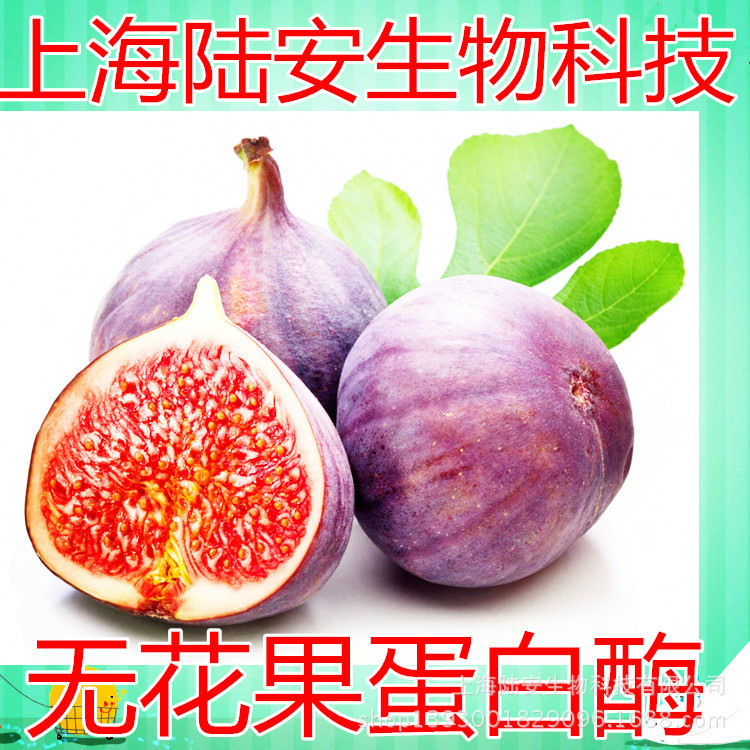 骨髓瘤要补硒元素吗