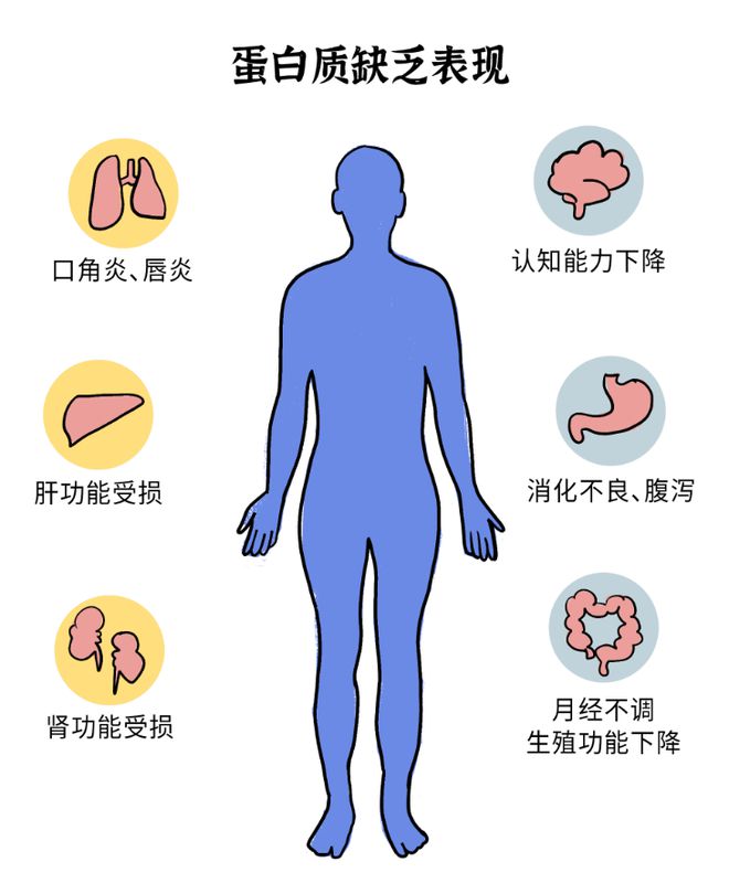 如何补维生素E和硒