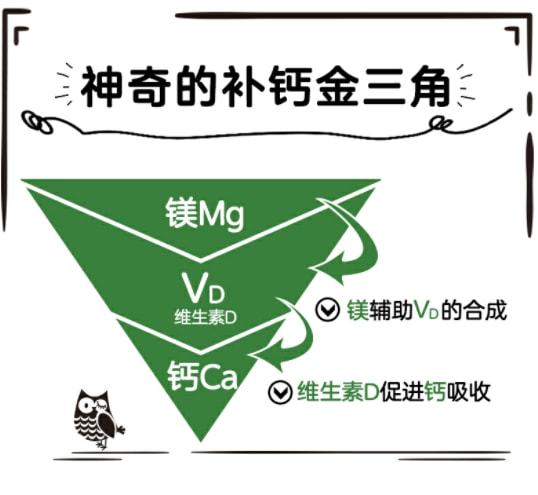 老年人怎么补钙效果最好