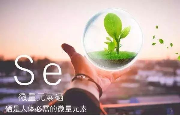 吃什么最补硒保健品