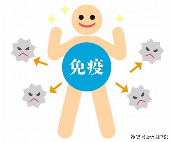 白细胞高补硒有用吗