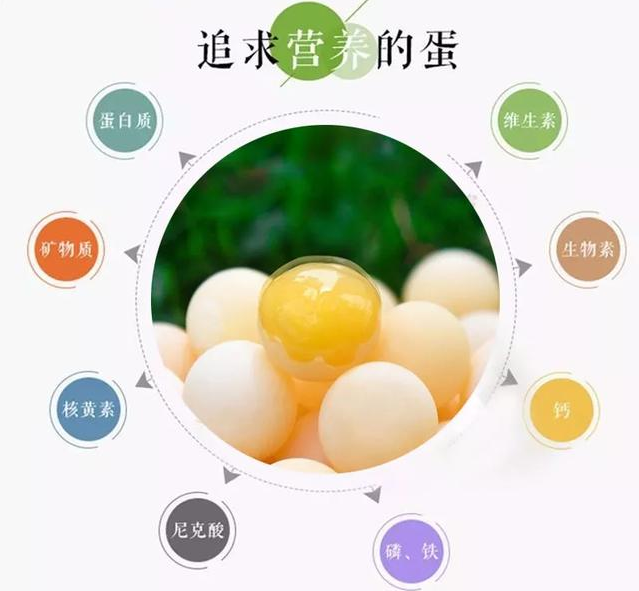 补硒多了吃维生素e