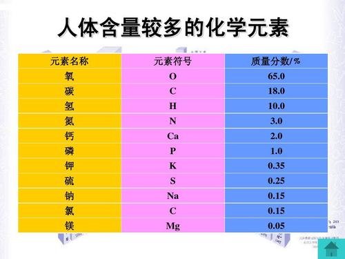 小孩查微量元素