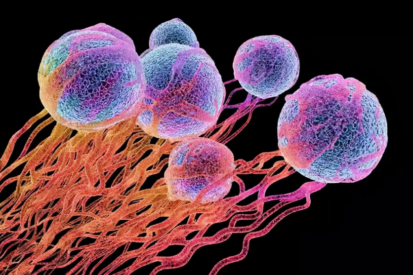 科学补硒的5大原则