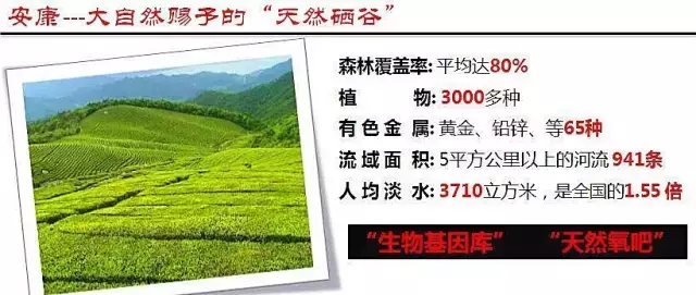 富硒矿泉水能补硒吗