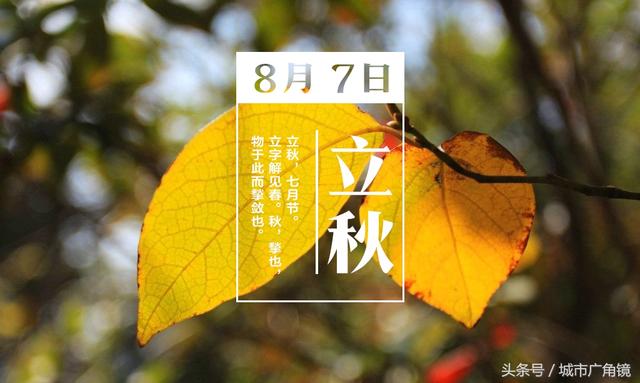 今日立秋 秋季：养生先养骨，要想骨头好补钙不可少！