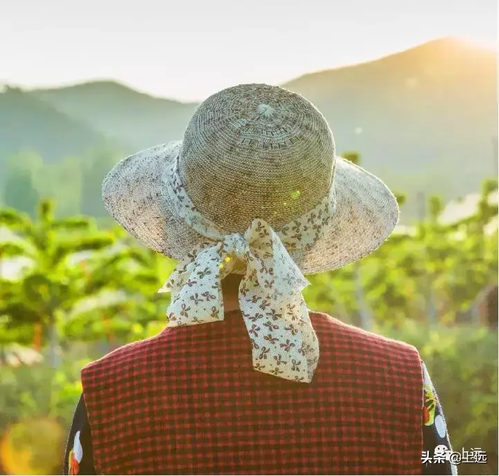补硒广告语可以说么