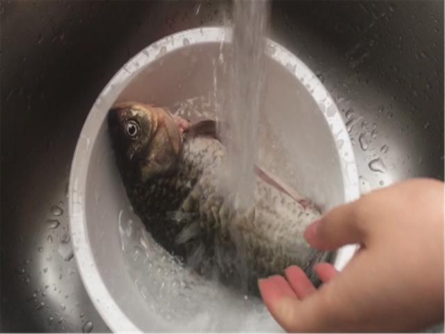 鲫鱼补钙吗