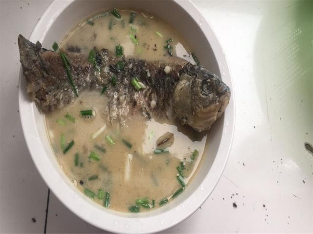 鲫鱼补钙吗