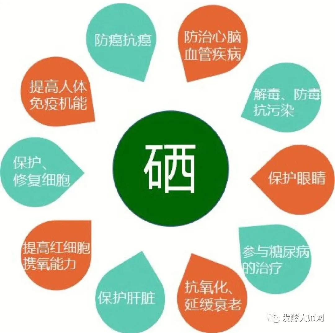 开发富硒产品的意义