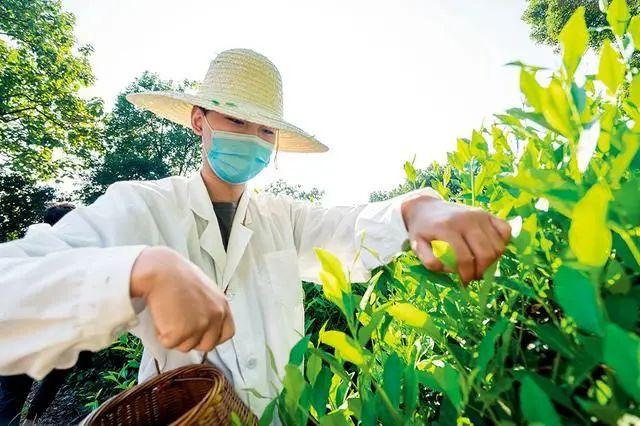 富硒产品的市场分析