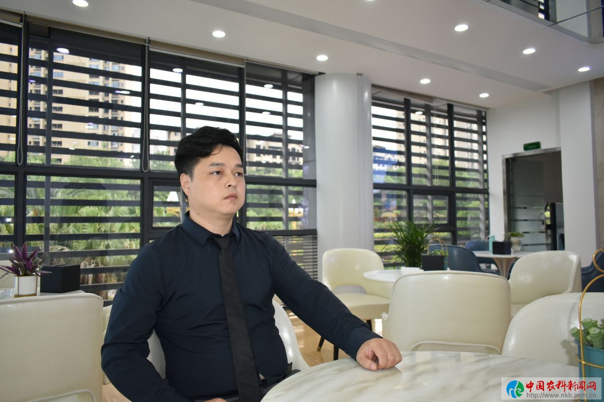 丽