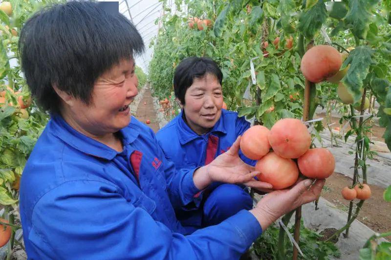富硒农产品商标查询