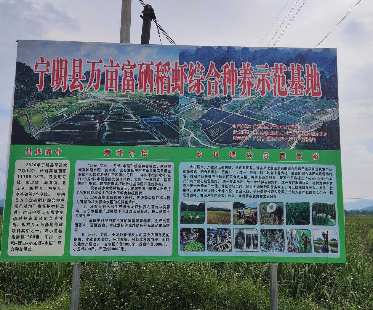 广西富硒农产品展销