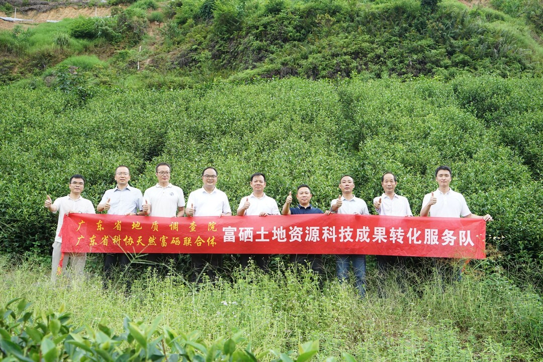 富硒农产品种植公司