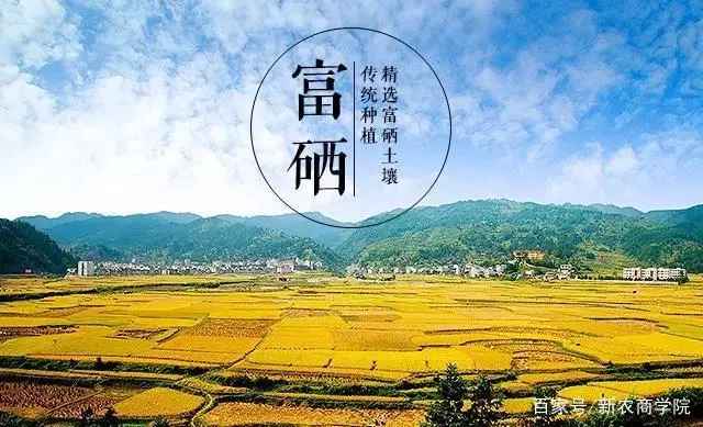 绿色富硒产品有哪些