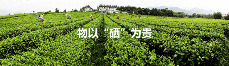 绿色富硒产品有哪些