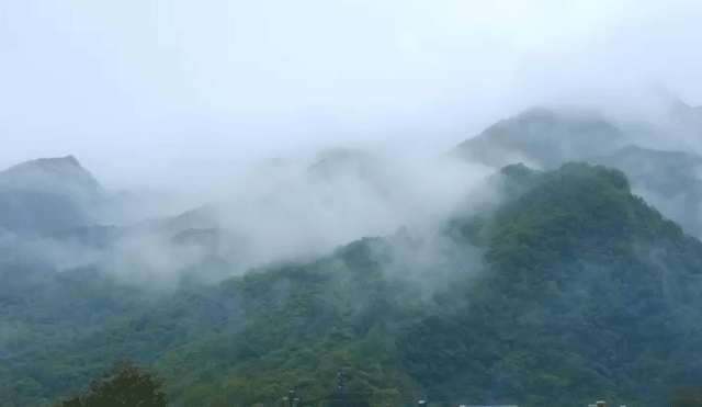 英山富硒产品有哪些