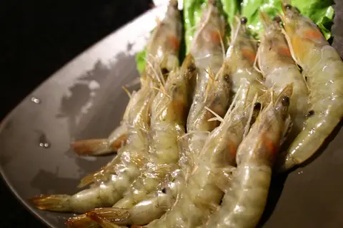 吃虾可以补钙吗