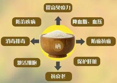 功能农业富硒产品二