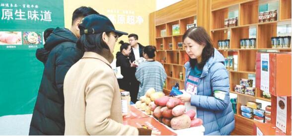 文、图/本报记者王颖