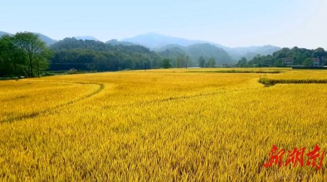 富硒产品到那里检验