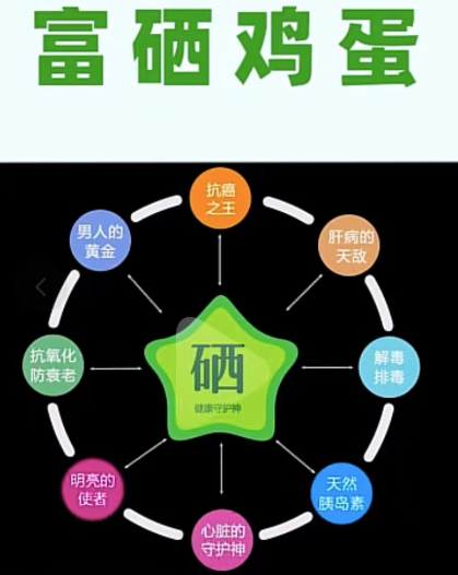桃源富硒蛋产品批发