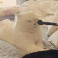 胆维丁乳补钙效果好吗