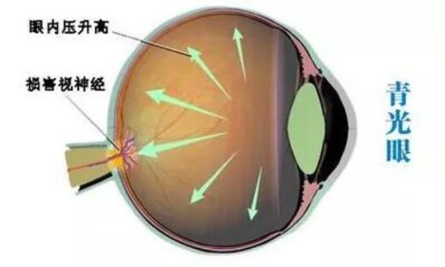补微量元素吃什么药好