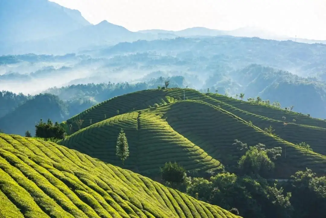 天津富硒产品企业有(天津富硒企业产品有哪些品牌)-硒宝网