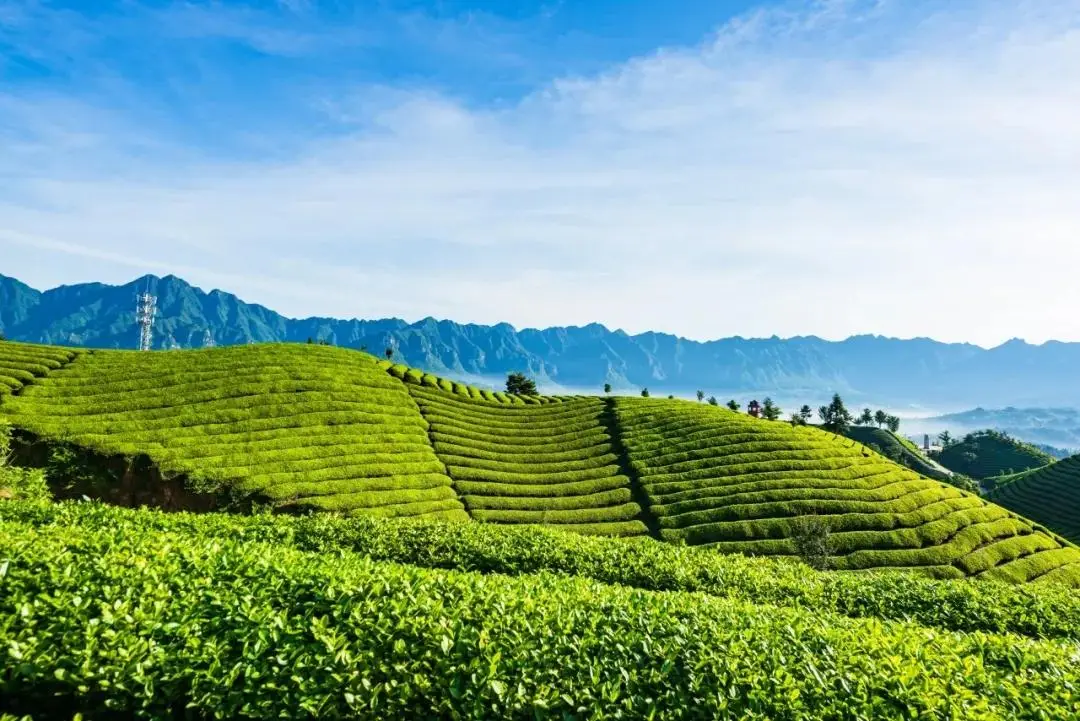 天津富硒产品企业有(天津富硒企业产品有哪些品牌)-硒宝网