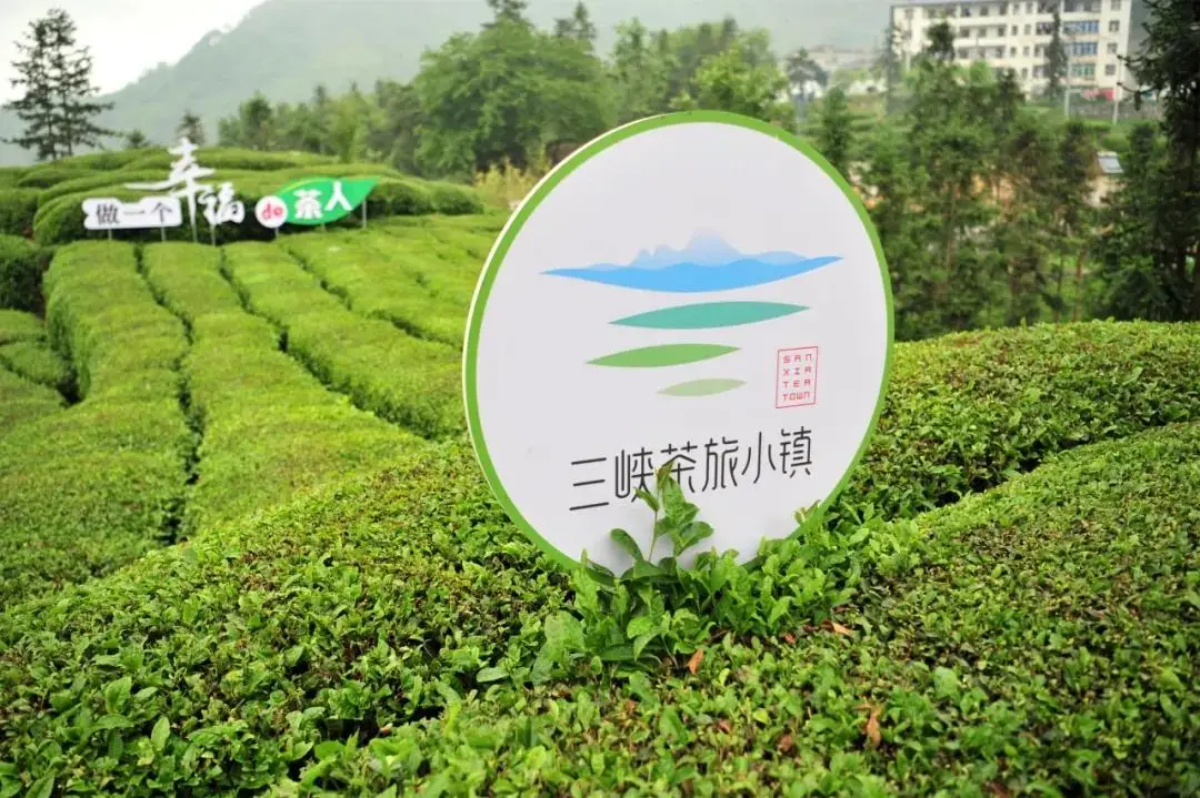 天津富硒产品企业有(天津富硒企业产品有哪些品牌)-硒宝网