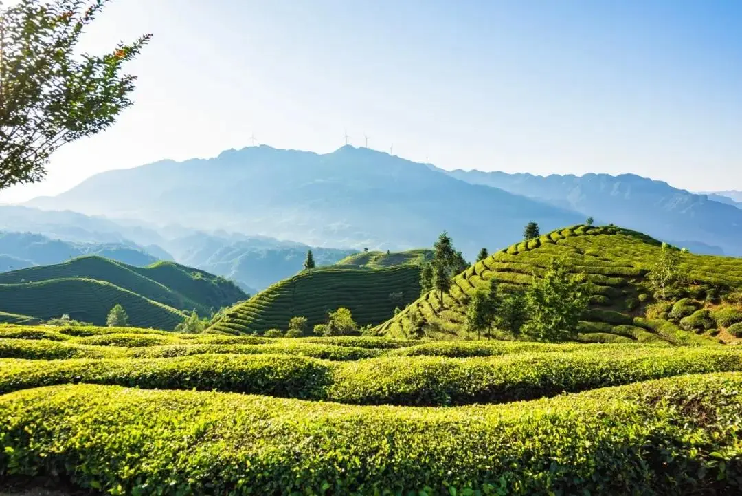 天津富硒产品企业有(天津富硒企业产品有哪些品牌)-硒宝网