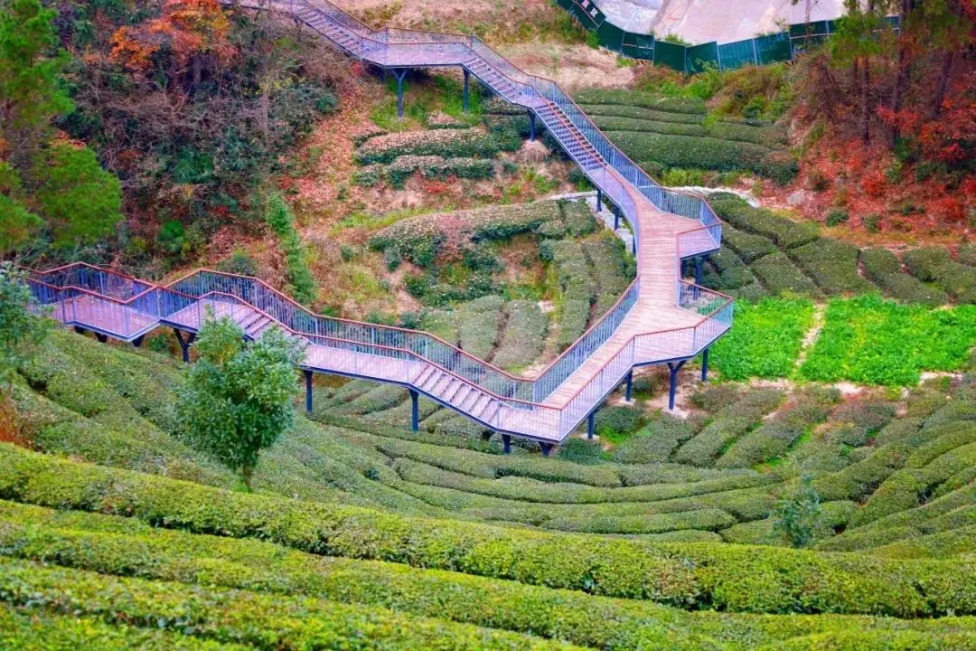 天津富硒产品企业有(天津富硒企业产品有哪些品牌)-硒宝网