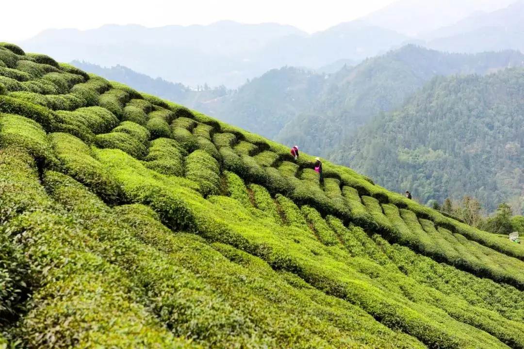 天津富硒产品企业有(天津富硒企业产品有哪些品牌)-硒宝网