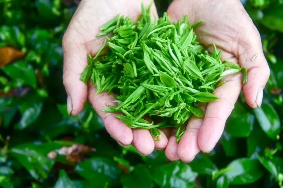 天津富硒产品企业有(天津富硒企业产品有哪些品牌)-硒宝网