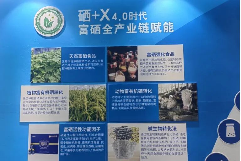 恩施富硒农产品广告
