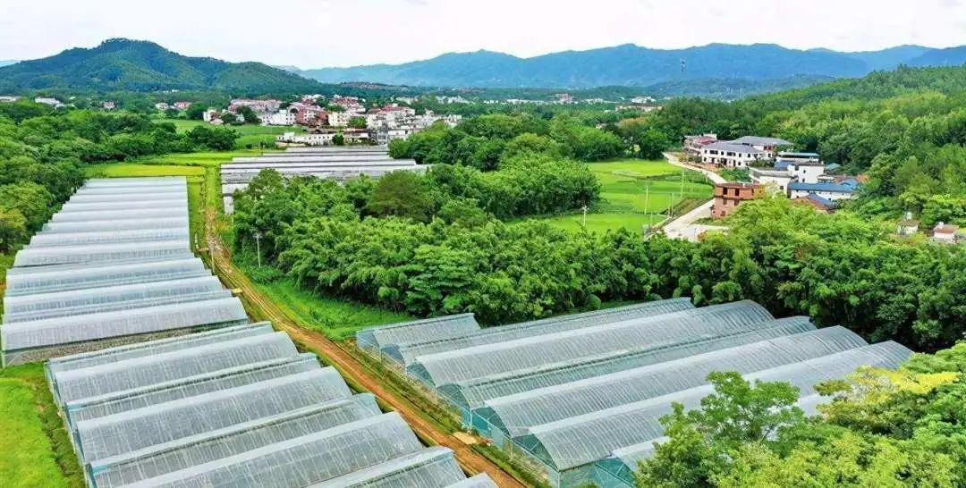 建设富硒农产品基地
