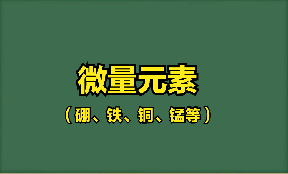 微量元素钙偏高
