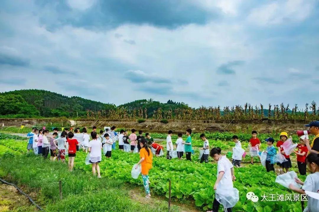 南宁富硒农产品基地