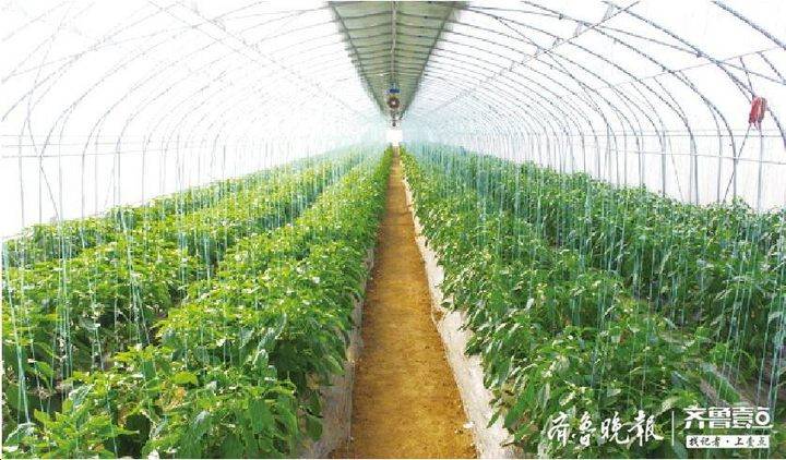 富硒农产品加工项目