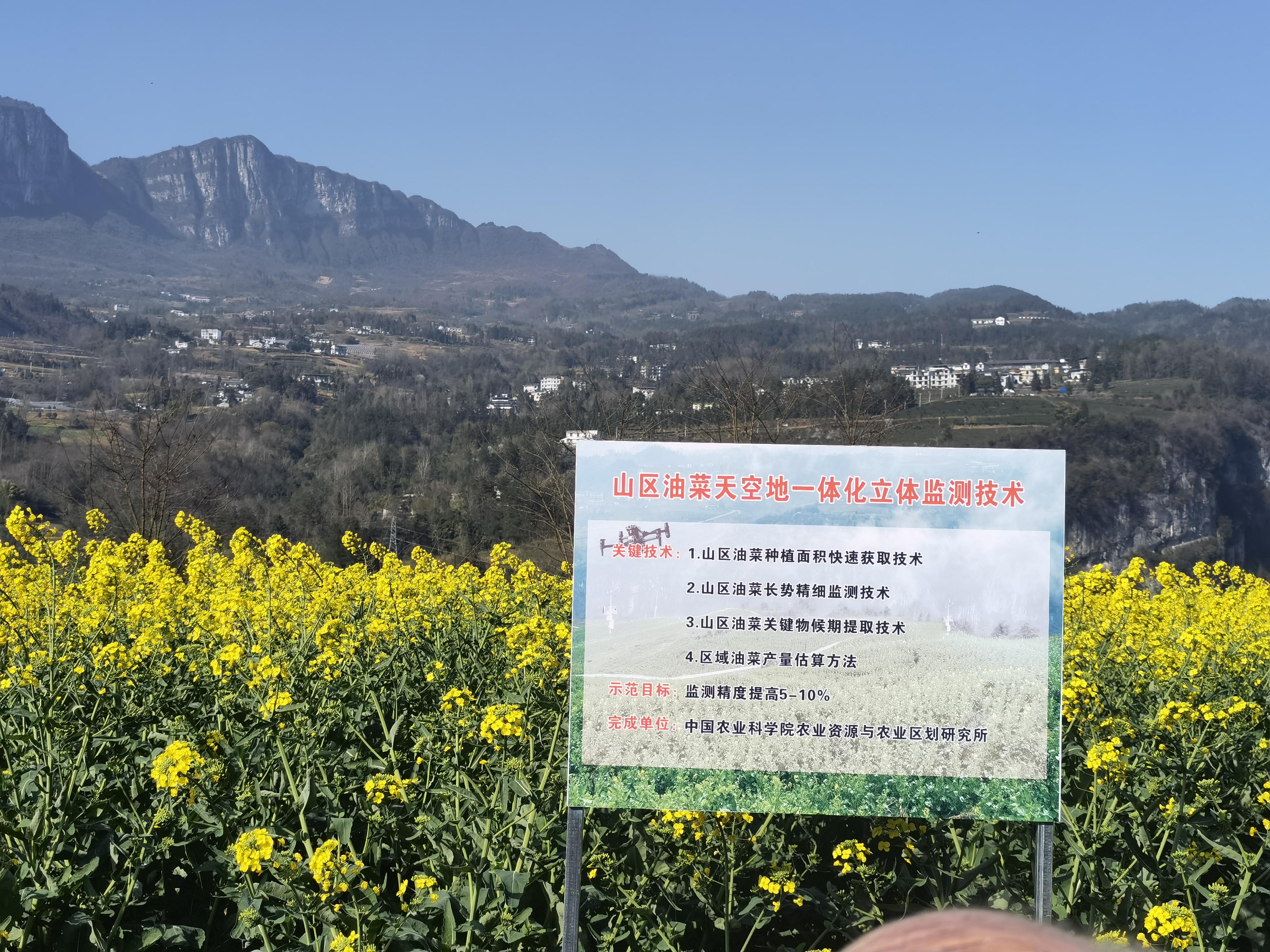 恩施富硒农产品现状