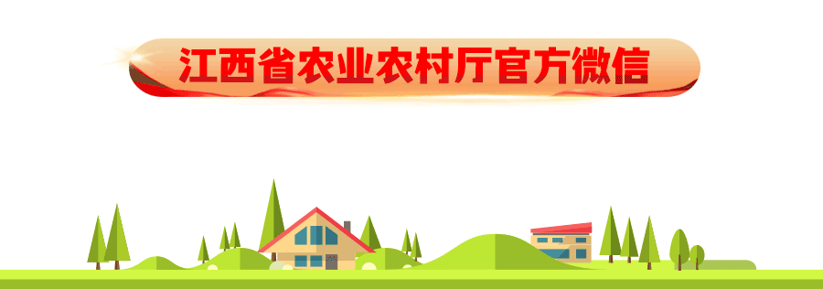 富硒绿色有机农产品