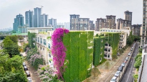 夏天的风吹过，南宁街头荡起了“绿色波浪”