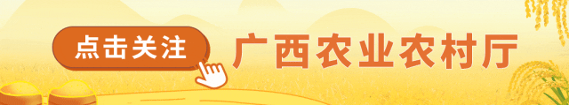 广西名优富硒农产品