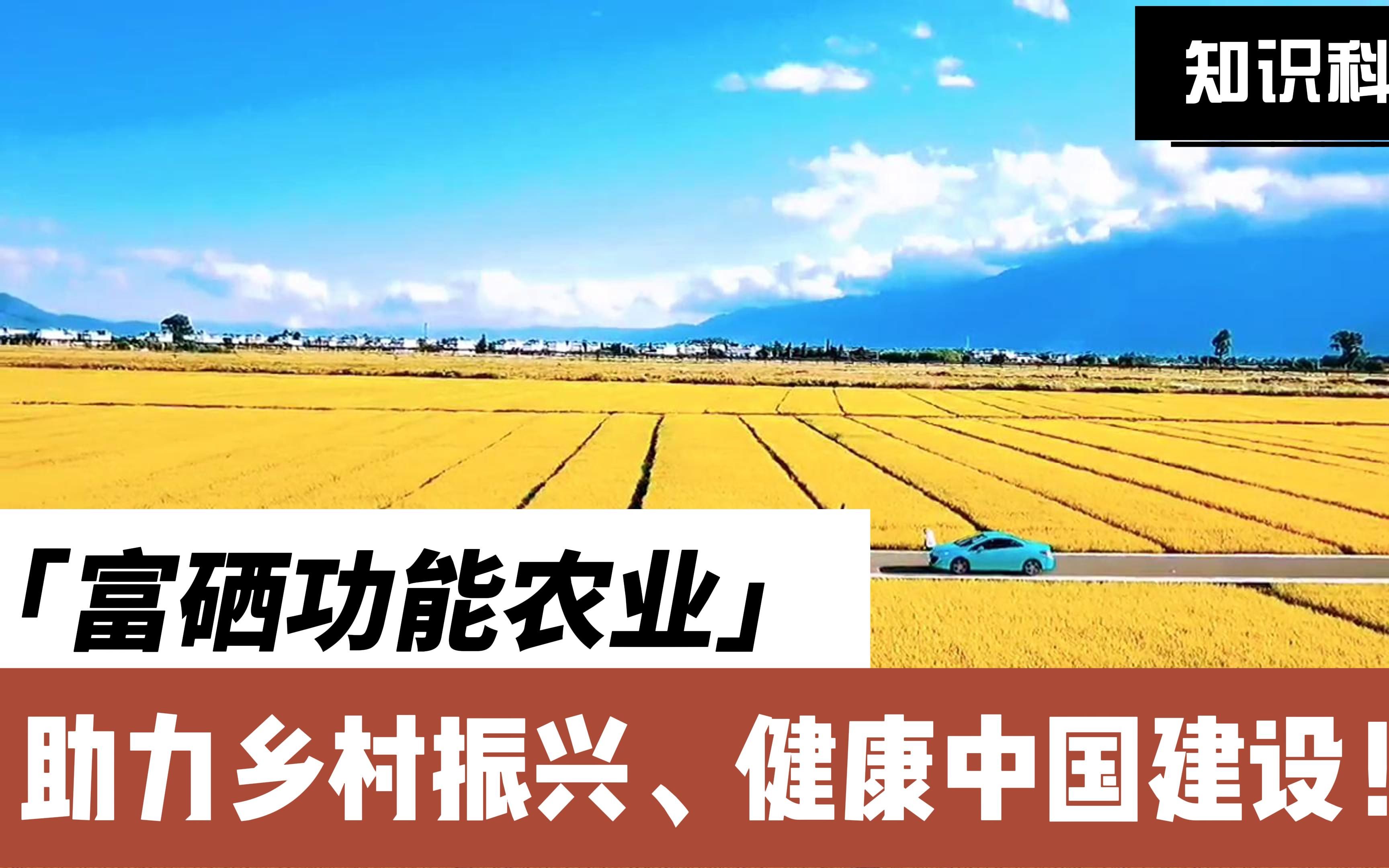 柏乡富硒农产品北京